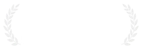 Lovie Award — XR Best Experience